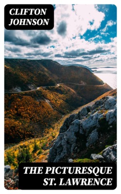 The Picturesque St. Lawrence