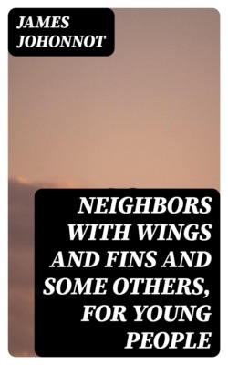 Neighbors with Wings and Fins and Some Others, for Young People