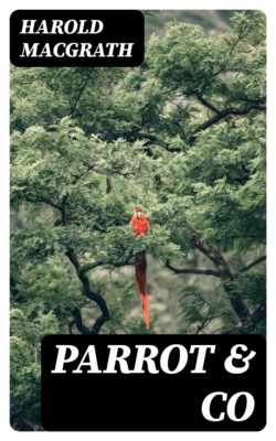 Parrot & Co