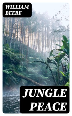 Jungle Peace