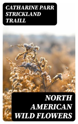 North American Wild Flowers