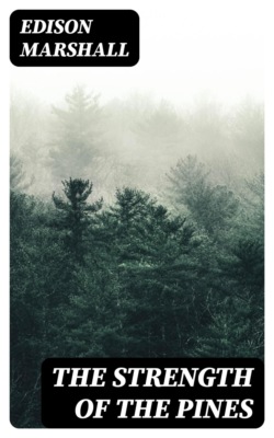 The Strength of the Pines