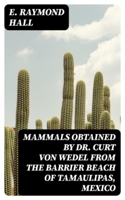 Mammals Obtained by Dr. Curt von Wedel from the Barrier Beach of Tamaulipas, Mexico