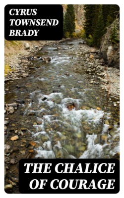 The Chalice Of Courage