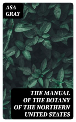 The Manual of the Botany of the Northern United States