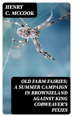 Old Farm Fairies: A Summer Campaign In Brownieland Against King Cobweaver's Pixies