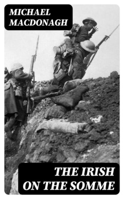 The Irish on the Somme