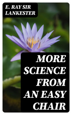 More Science from an Easy Chair