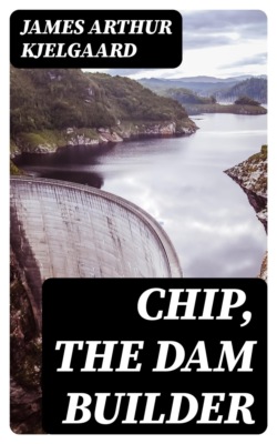 Chip, the Dam Builder
