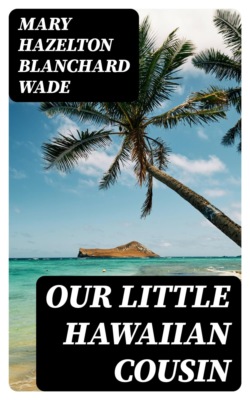 Our Little Hawaiian Cousin