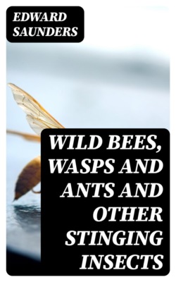 Wild Bees, Wasps and Ants and Other Stinging Insects