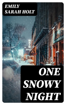 One Snowy Night
