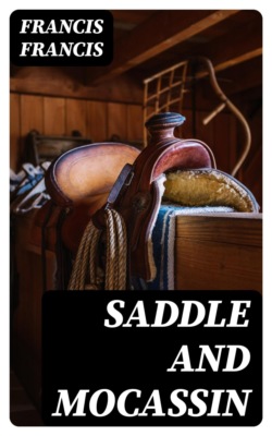 Saddle and Mocassin