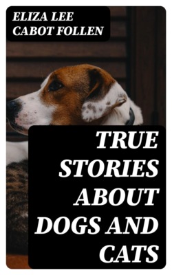 True Stories about Dogs and Cats