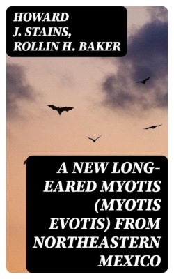 A New Long-eared Myotis (Myotis evotis) From Northeastern Mexico