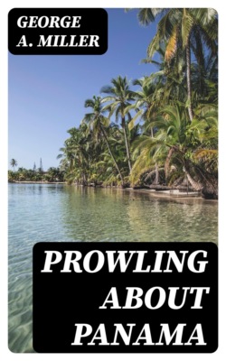 Prowling about Panama