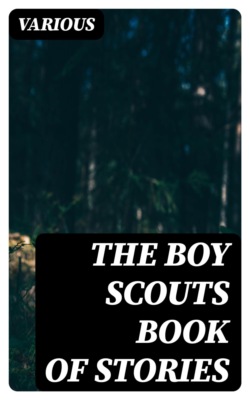 The Boy Scouts Book of Stories