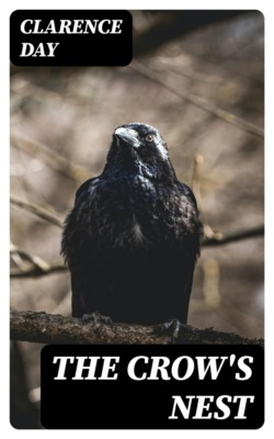 The Crow's Nest