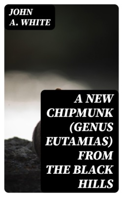 A New Chipmunk (Genus Eutamias) from the Black Hills