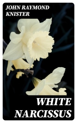 White Narcissus