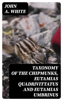 Taxonomy of the Chipmunks, Eutamias quadrivittatus and Eutamias umbrinus