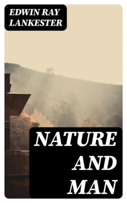 Nature and Man