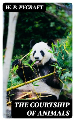 The Courtship of Animals