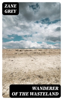 Wanderer of the Wasteland