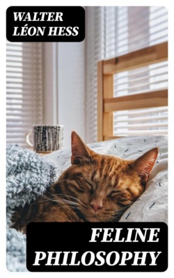 Feline Philosophy