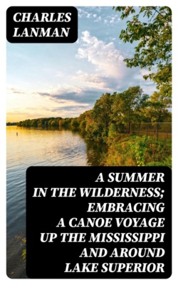 A summer in the wilderness; embracing a canoe voyage up the Mississippi and around Lake Superior