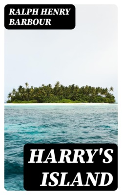 Harry's Island