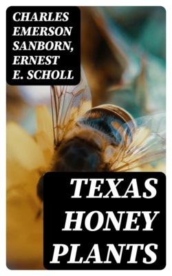 Texas Honey Plants