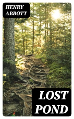 Lost Pond