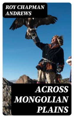 Across Mongolian Plains