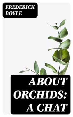 About Orchids: A Chat