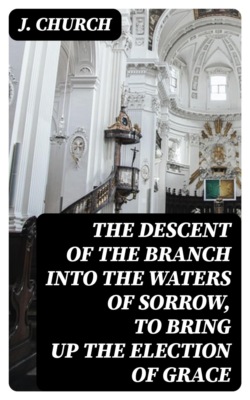 The Descent of the Branch into the Waters of Sorrow, to Bring up the Election of Grace