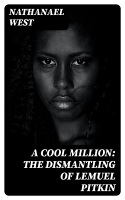 A Cool Million: The Dismantling of Lemuel Pitkin