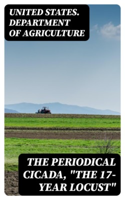 The Periodical Cicada, "the 17-year Locust"