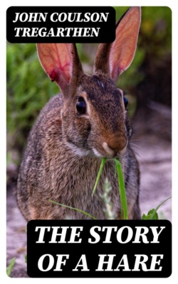 The Story of a Hare