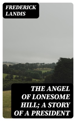 The Angel of Lonesome Hill; A Story of a President