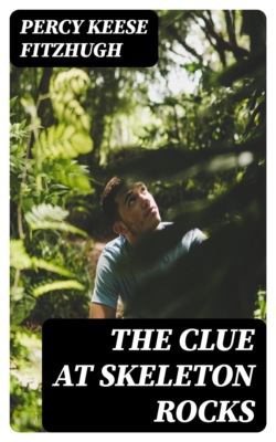 The Clue at Skeleton Rocks