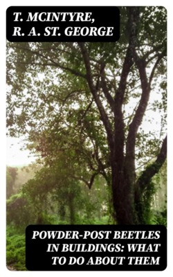 Powder-Post Beetles in Buildings: What to Do About Them