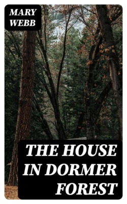 The House in Dormer Forest