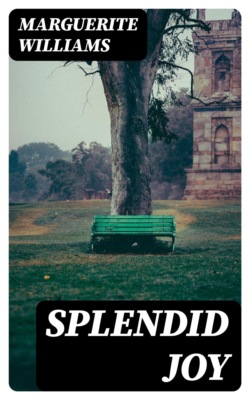 Splendid Joy