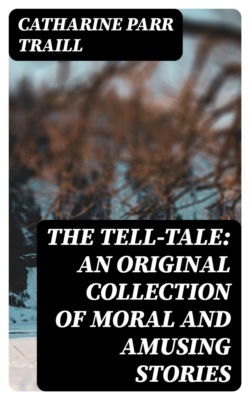 The Tell-Tale: An original collection of moral and amusing stories