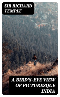 A Bird's-Eye View of Picturesque India