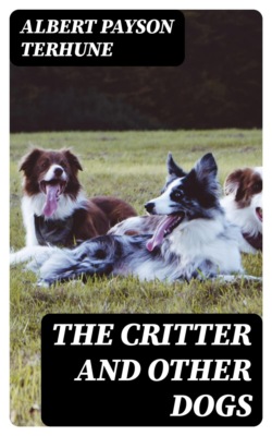 The Critter and Other Dogs