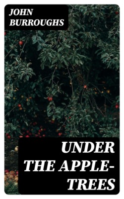 Under the Apple-Trees