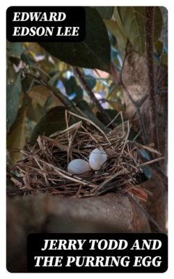 Jerry Todd and the Purring Egg