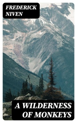 A Wilderness of Monkeys